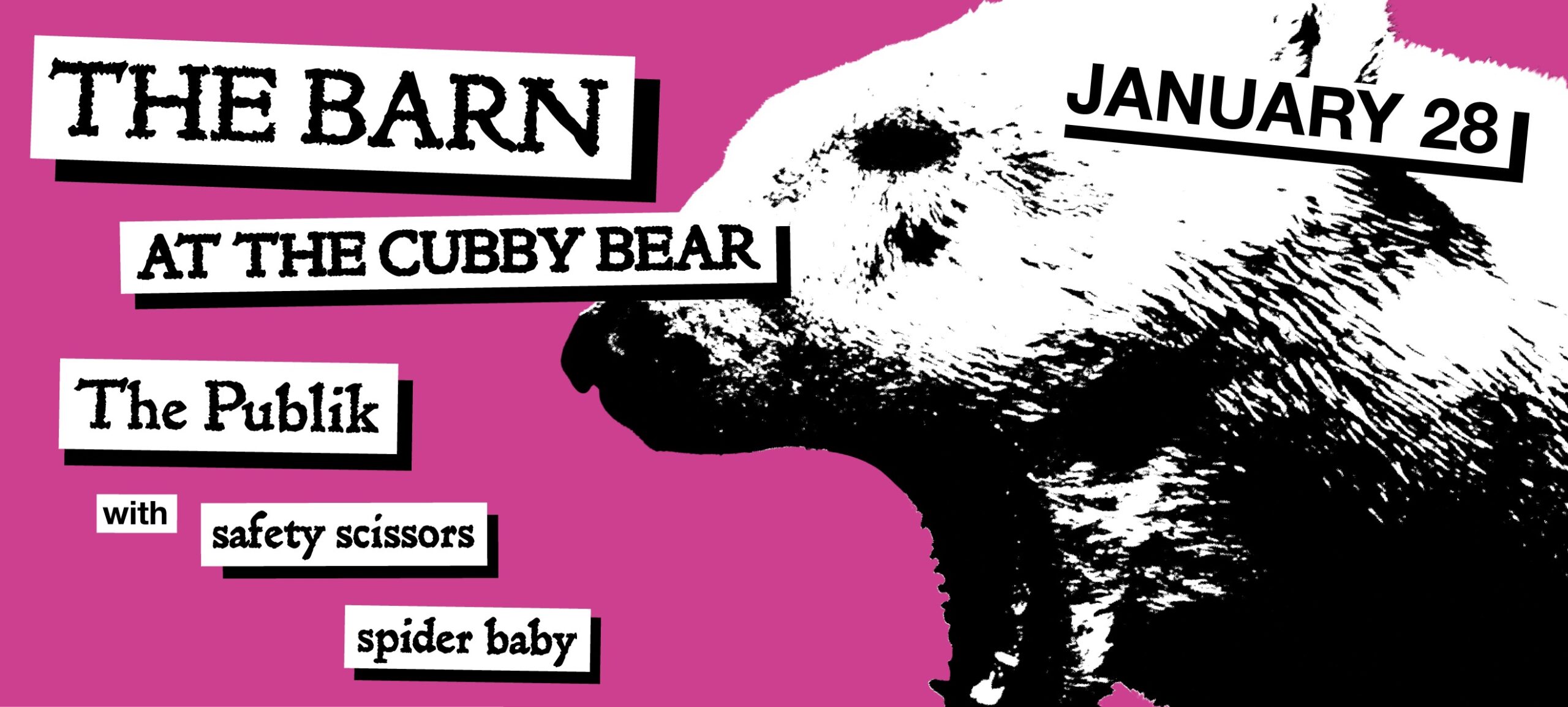 CUBBY BEAR JANUARY 28TH 2026